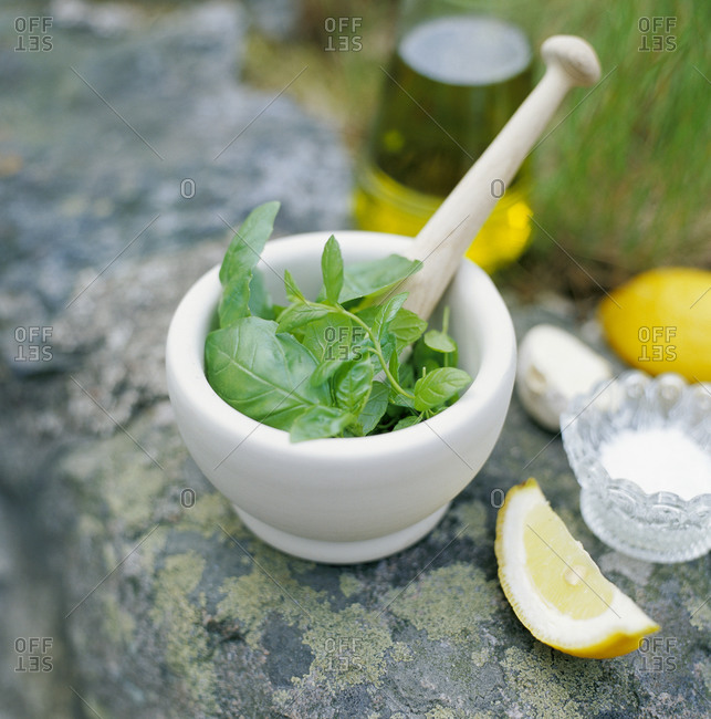 Basil with pestle and mortar, and a slice of lemon