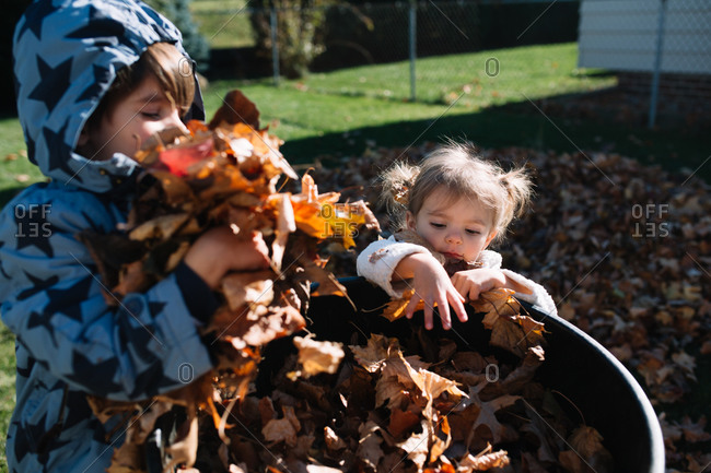 Children putting fallen leaves into a bin
