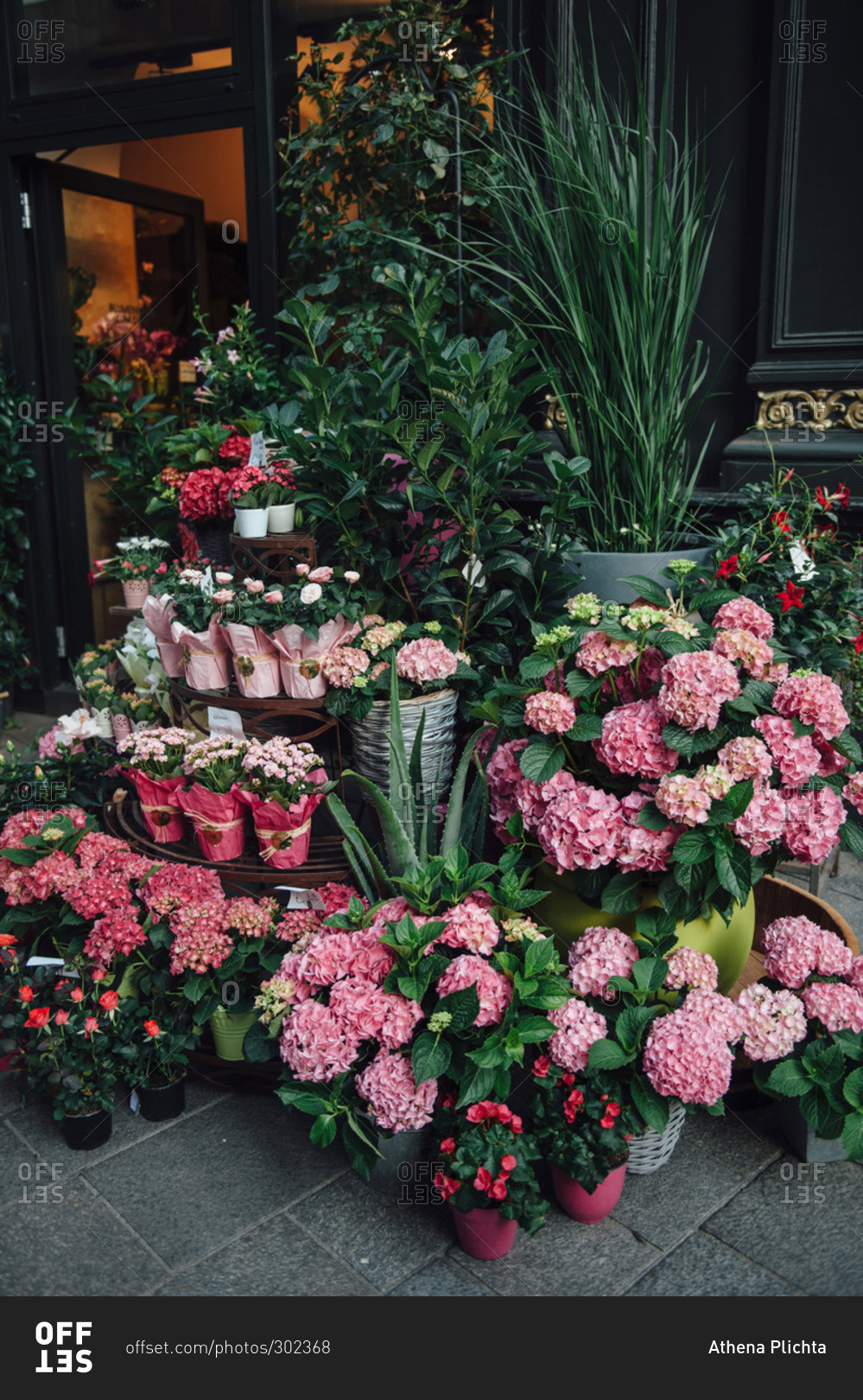 Flowers for sale outside of a floral shop