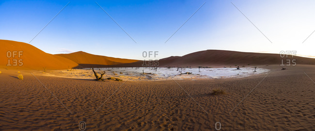 Dead Vlei in Namib Desert