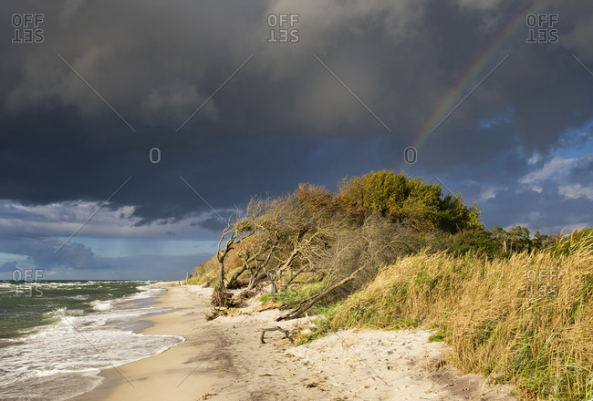 Rain clouds and rainbow over Baltic Sea beach in Born auf dem Darss