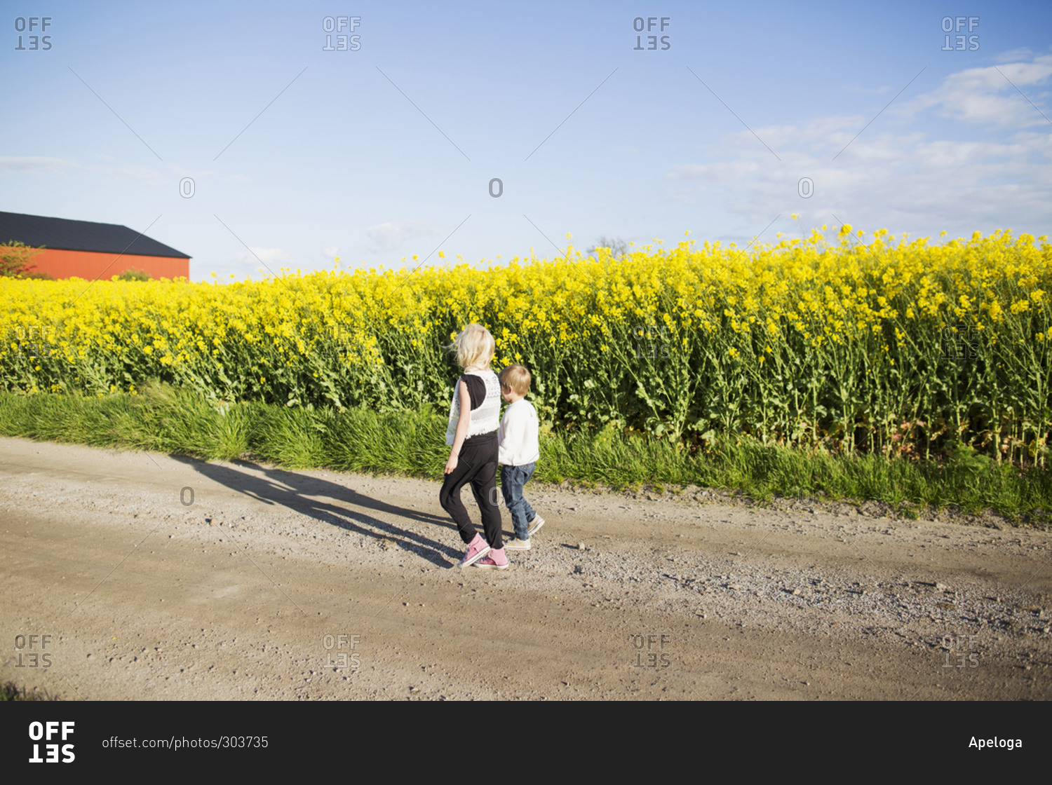 Brother and sister walking down a road by yellow flowers