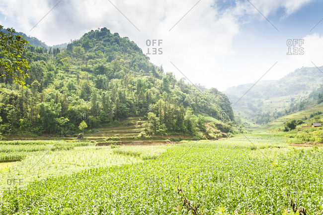 The beautiful mountainous landscape of the Sapa region in Northern Vietnam