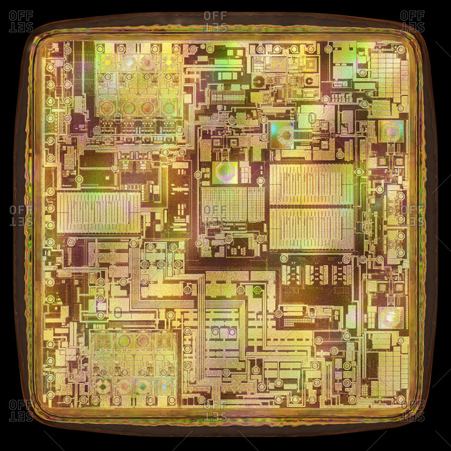 Microchip