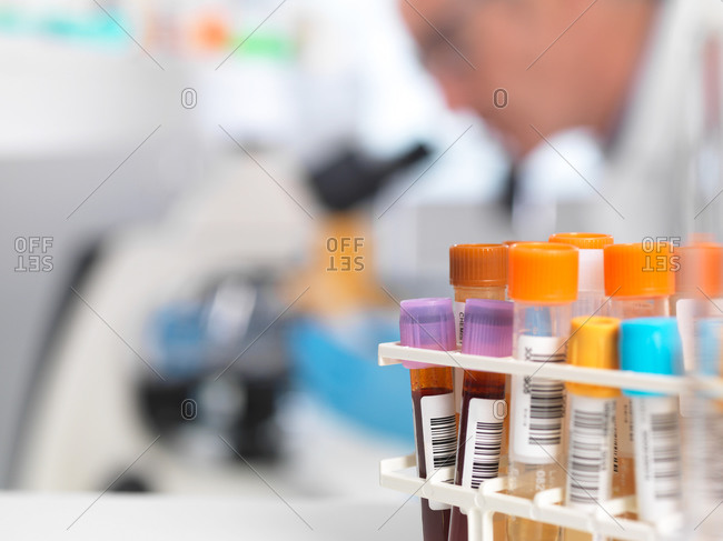 Medical testing of various human samples including blood, urine and chemical in lab
