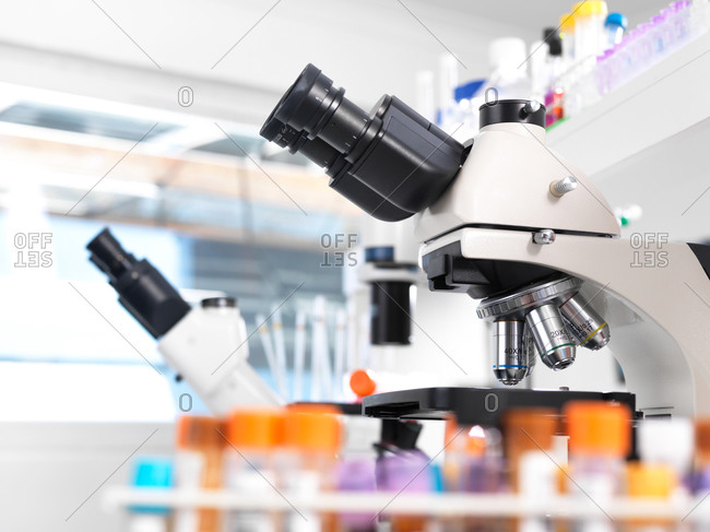 Medical testing of various human samples including blood, urine and chemical