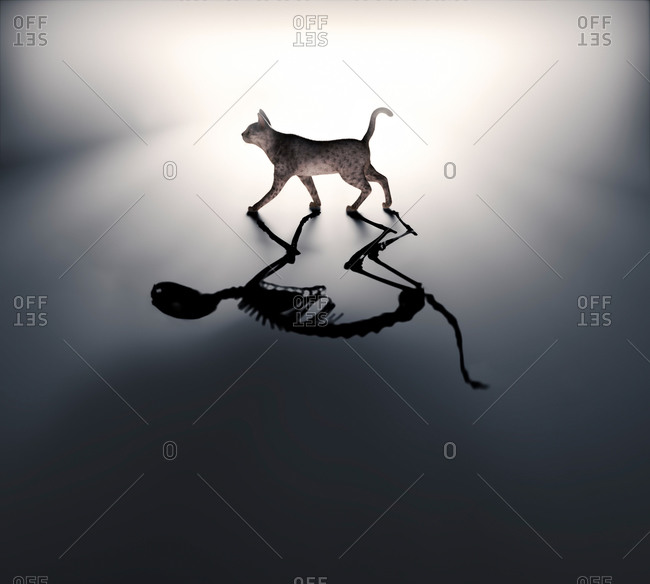 Schrodinger's cat, conceptual illustration