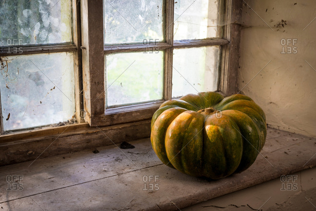 Muscat pumpkin on a windowsill