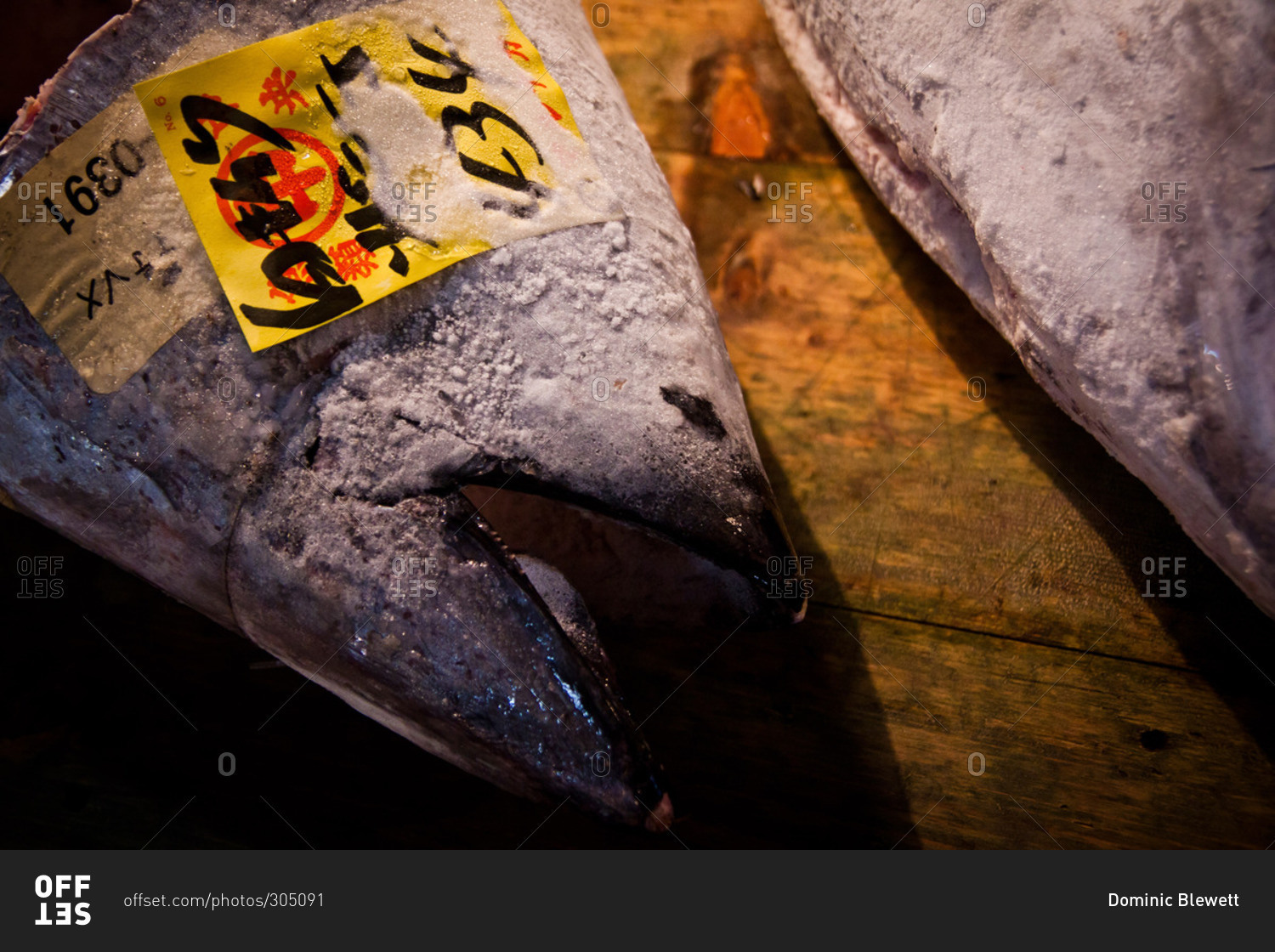 Close up of frozen fish heads in an Asian fish market stock photo OFFSET
