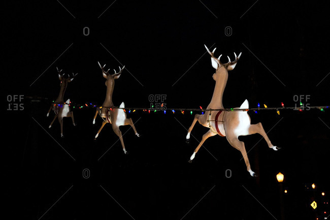 Reindeer and lights Christmas display
