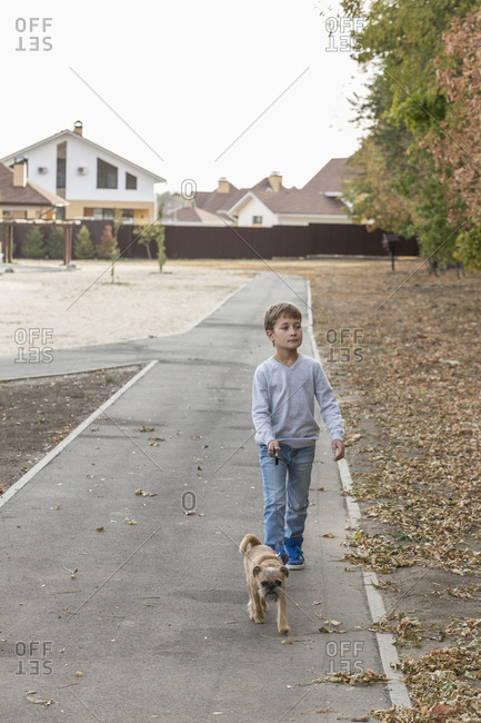 Boy walking with dog on footpath during autumn