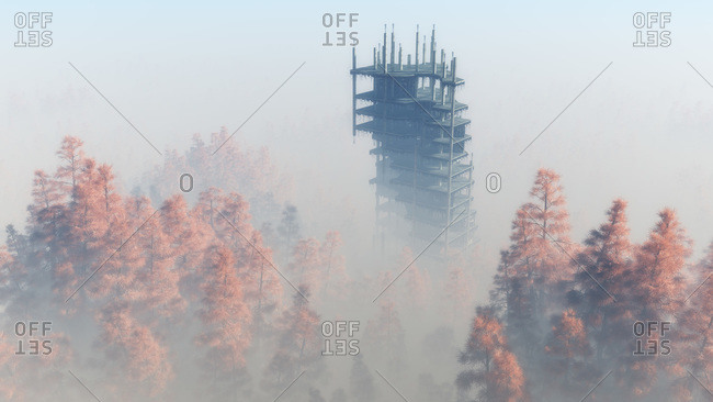 Demolished building in foggy autumn forest