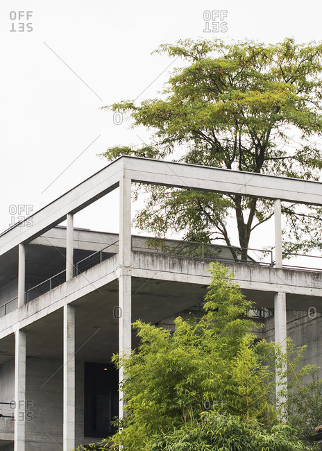 Exterior view of modern building with trees growing through terrace