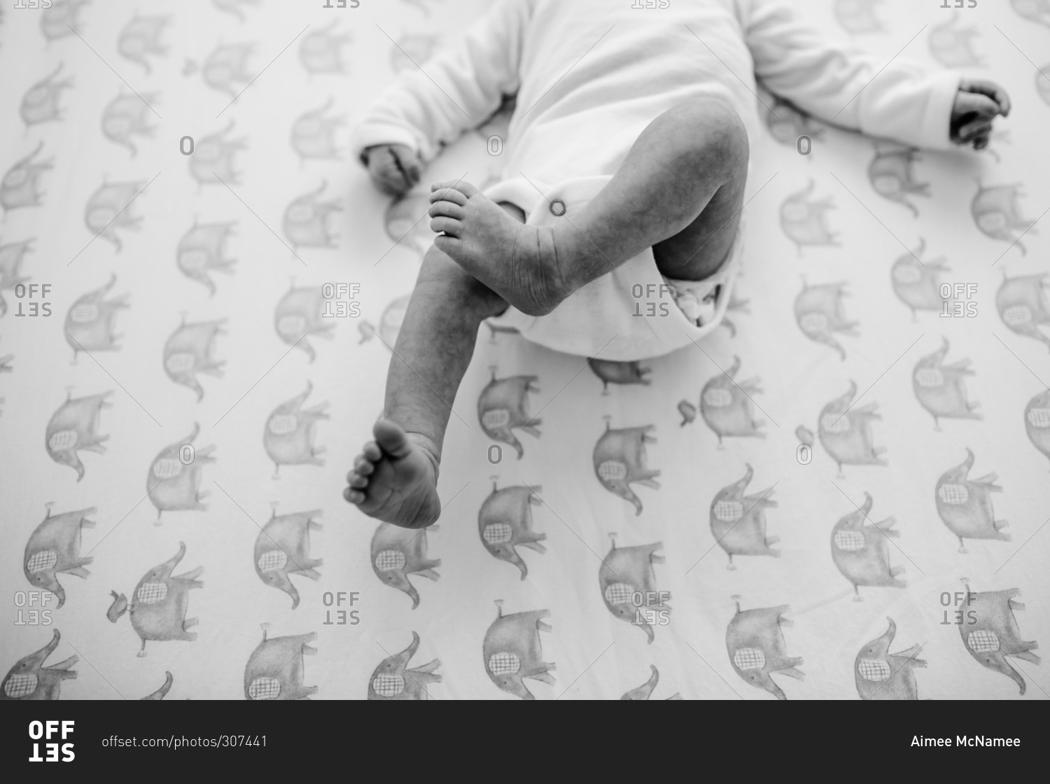 newborn-baby-s-legs-kicking-on-a-elephant-patterned-sheet-stock-photo