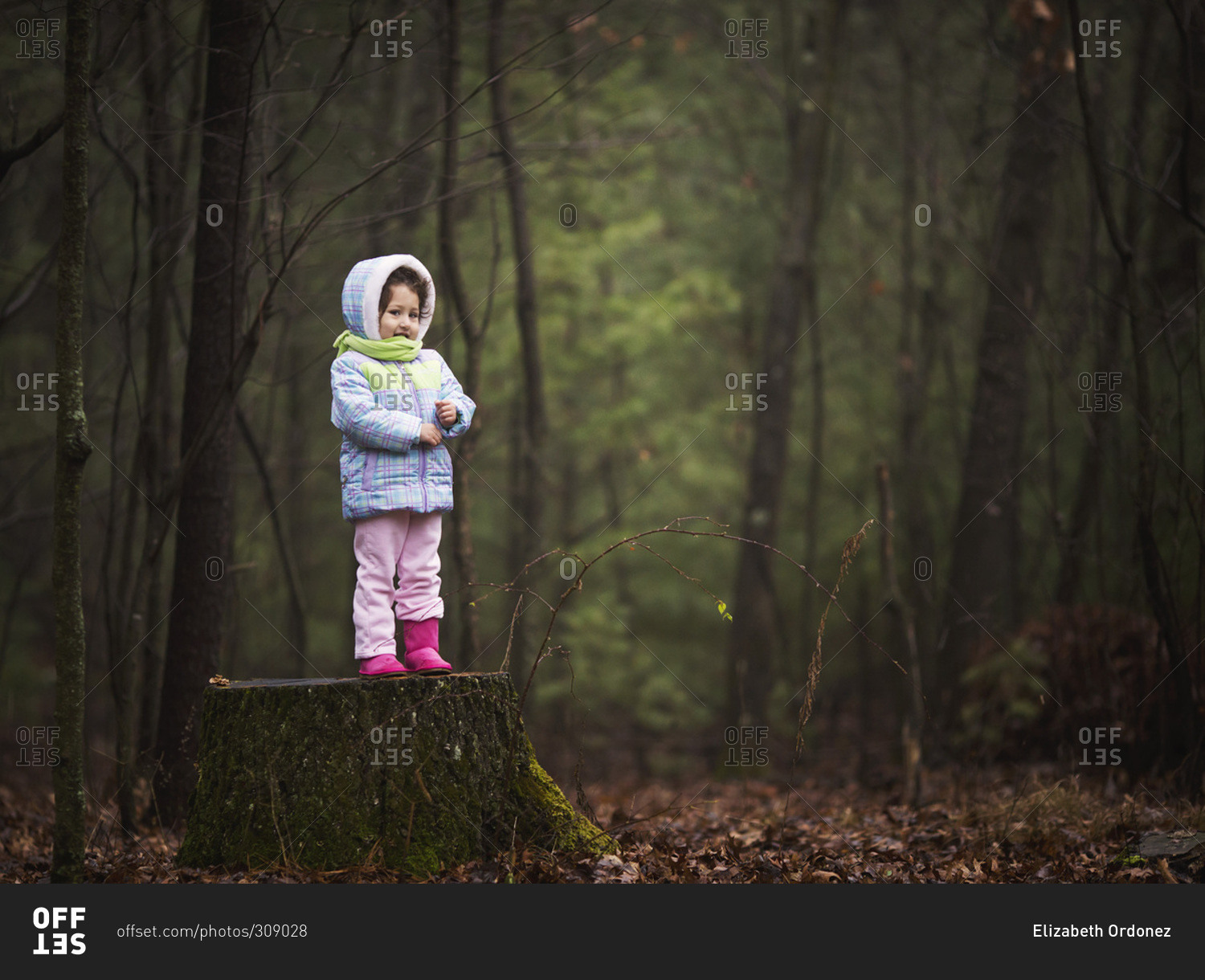 Girl standing in a forest in damp, chilly weather