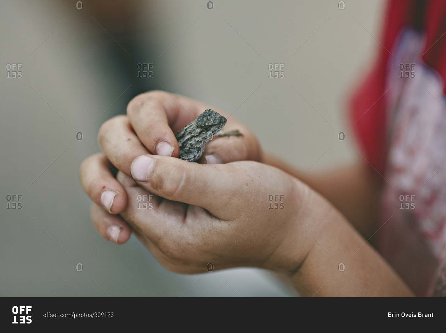 Boy holding a small lizard