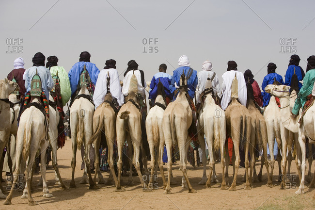 Back view of Wodaabe men on camels at the Cure Salee festival in Ingall, Niger