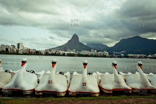 Swan shape paddle boats in a bay