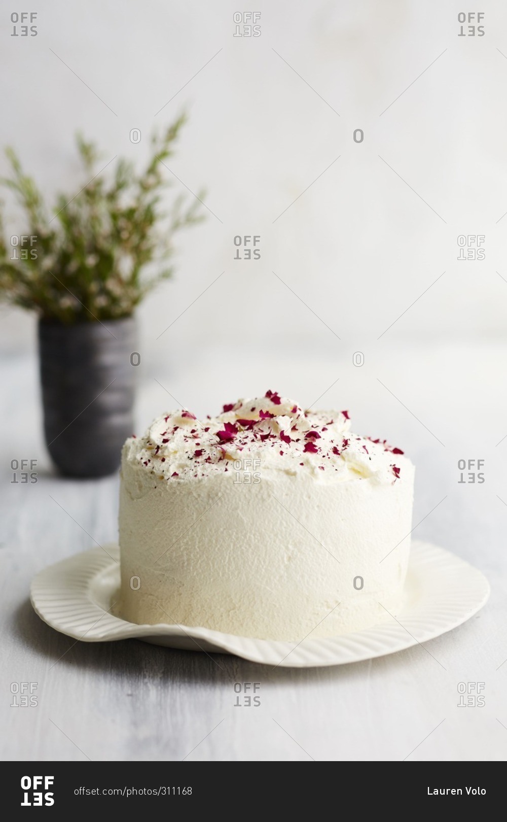 Rhubarb and rose petal white cake
