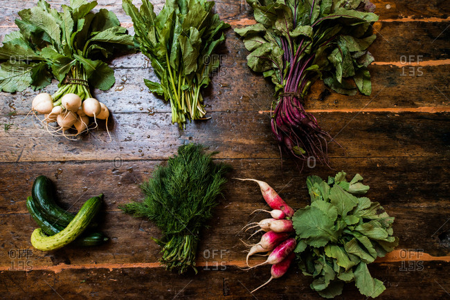 Bunches of salad ingredients on wooden counter