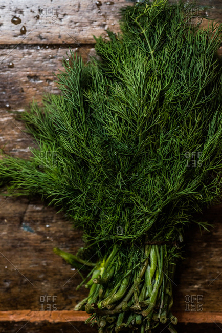Close up of bunch of dill