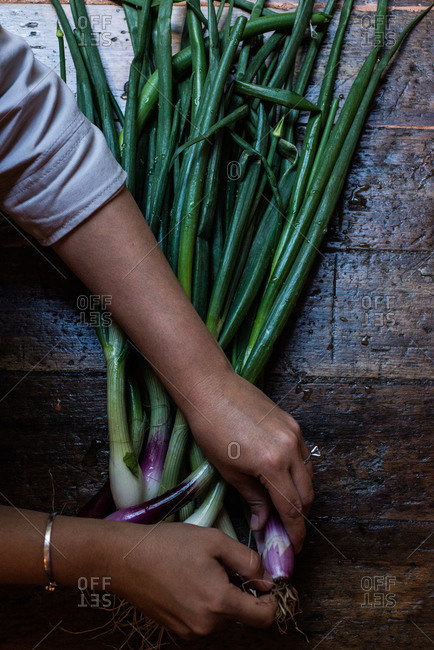 Overhead view of chef cleaning scallions
