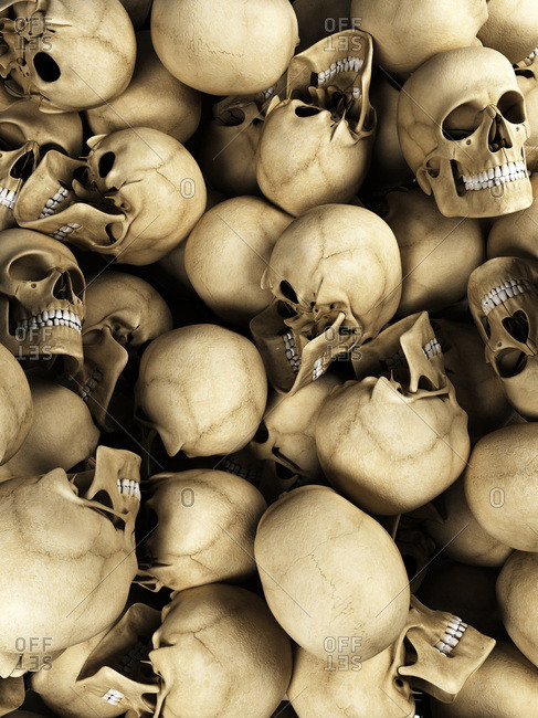 Digital illustration of human skulls