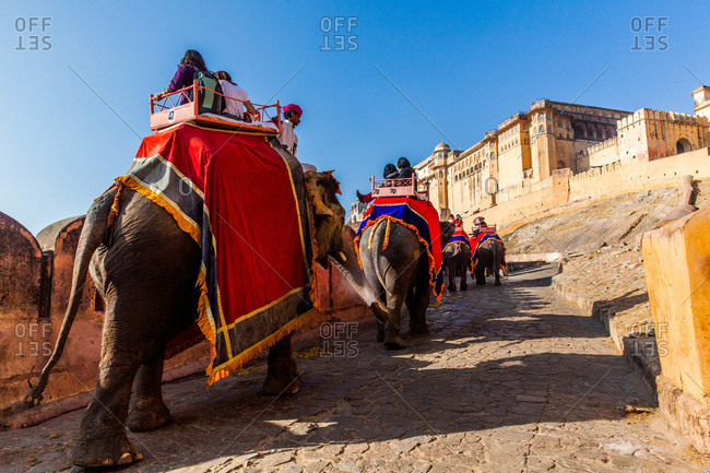 Jaipur, Rajasthan, India -January 7, 2016: Procession of elephants carrying tourists uphill at Amer Fort of Jaipur, Rajasthan