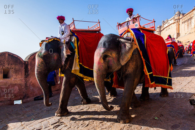 Jaipur, Rajasthan, India -January 7, 2016: Elephant drivers at Amer Fort of Jaipur, Rajasthan