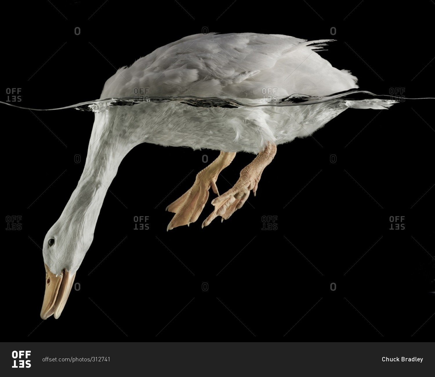 My Image 3