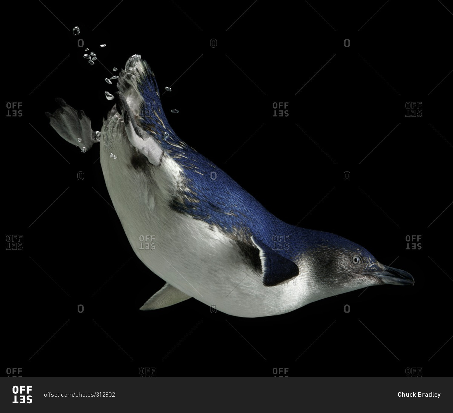 My Image 15