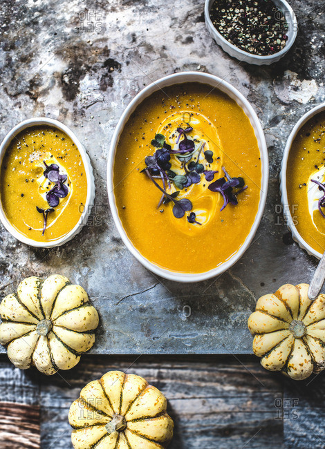 Fresh squash and squash soup in various size dishes
