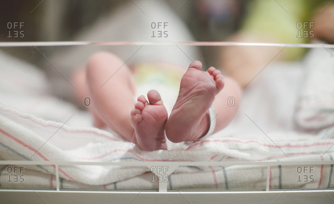 Close-up of newborn baby toes in hospital isolate