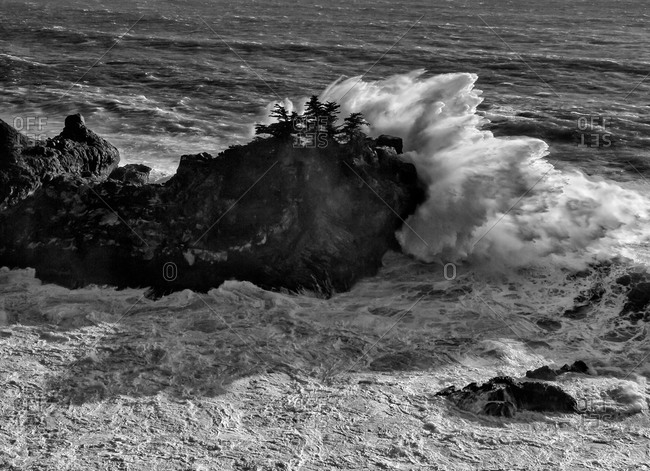 Big Sur Big wave crashes against rocks and trees at Julia Pfeiffer Burns State Park, California