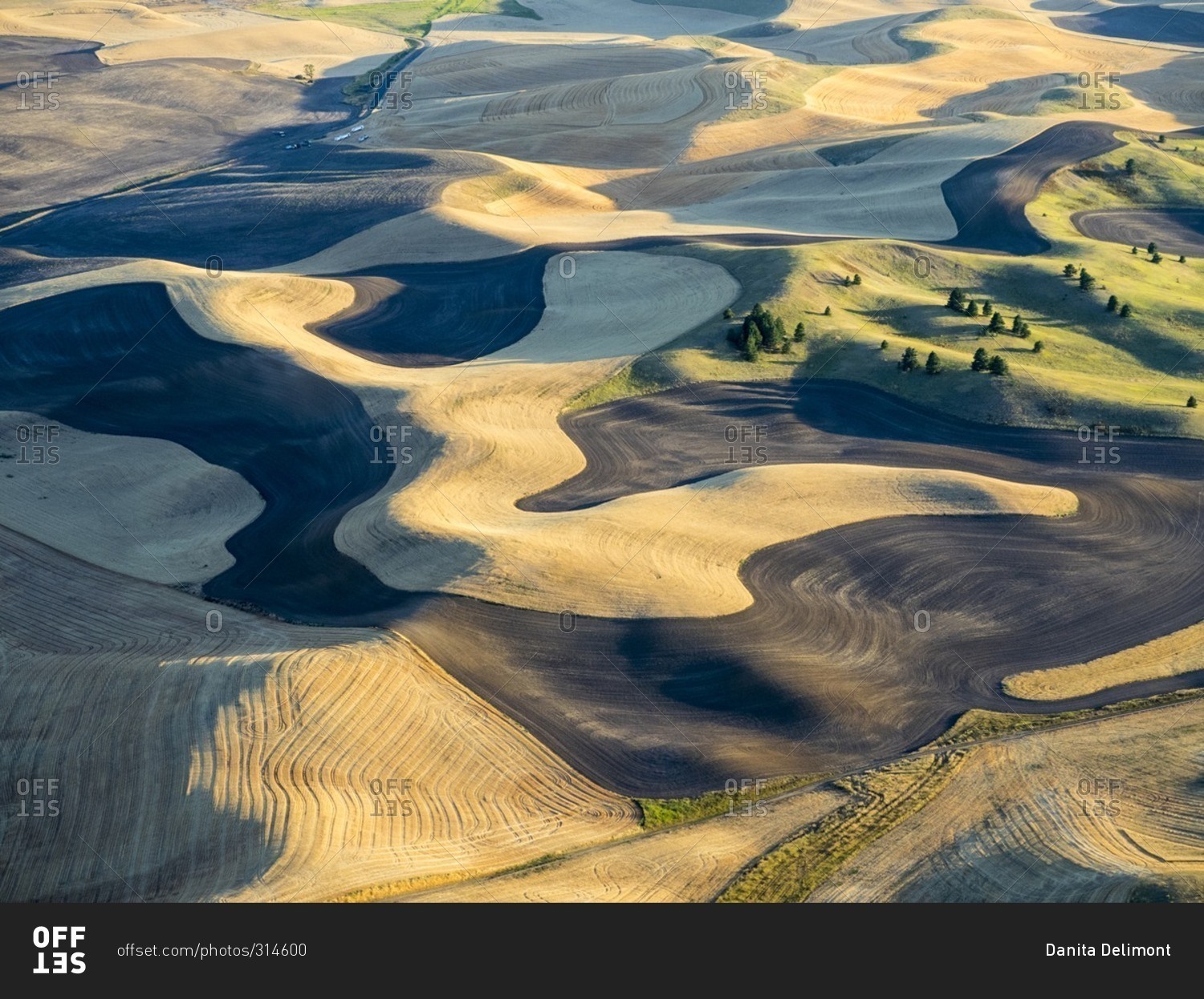 Aerial photography at harvest time in the Palouse region of Eastern