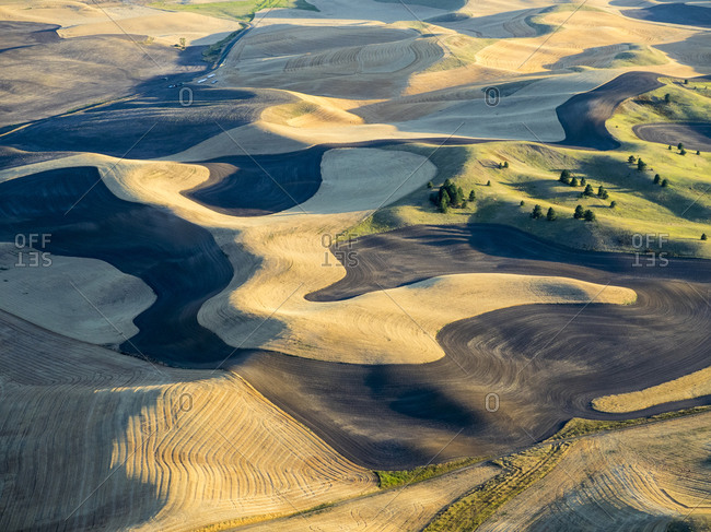 Aerial Photography At Harvest Time In The Palouse Region Of Eastern Washington Stock Photo OFFSET