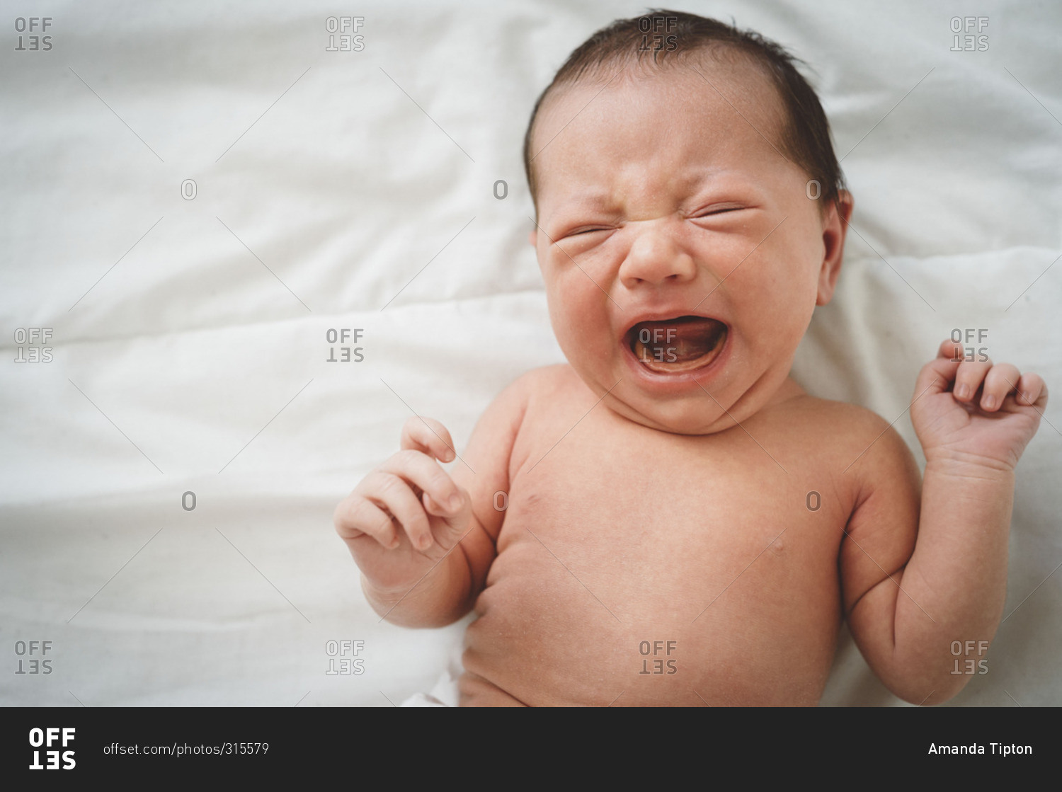 Newborn baby screaming Offset Collection stock photo OFFSET