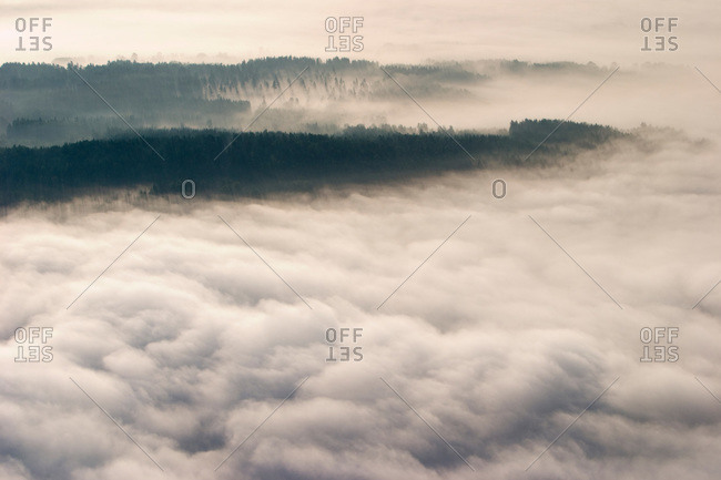 Aerial view of a foggy woodland scenery, Sweden