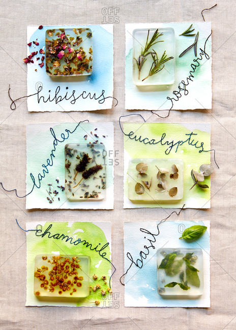 Overhead view of homemade soap with suspended herbs