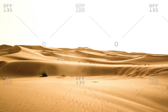 Windblown dunes in the desert, Dubai