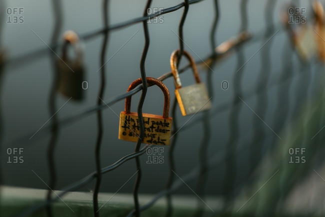 Padlocks on bridge fence
