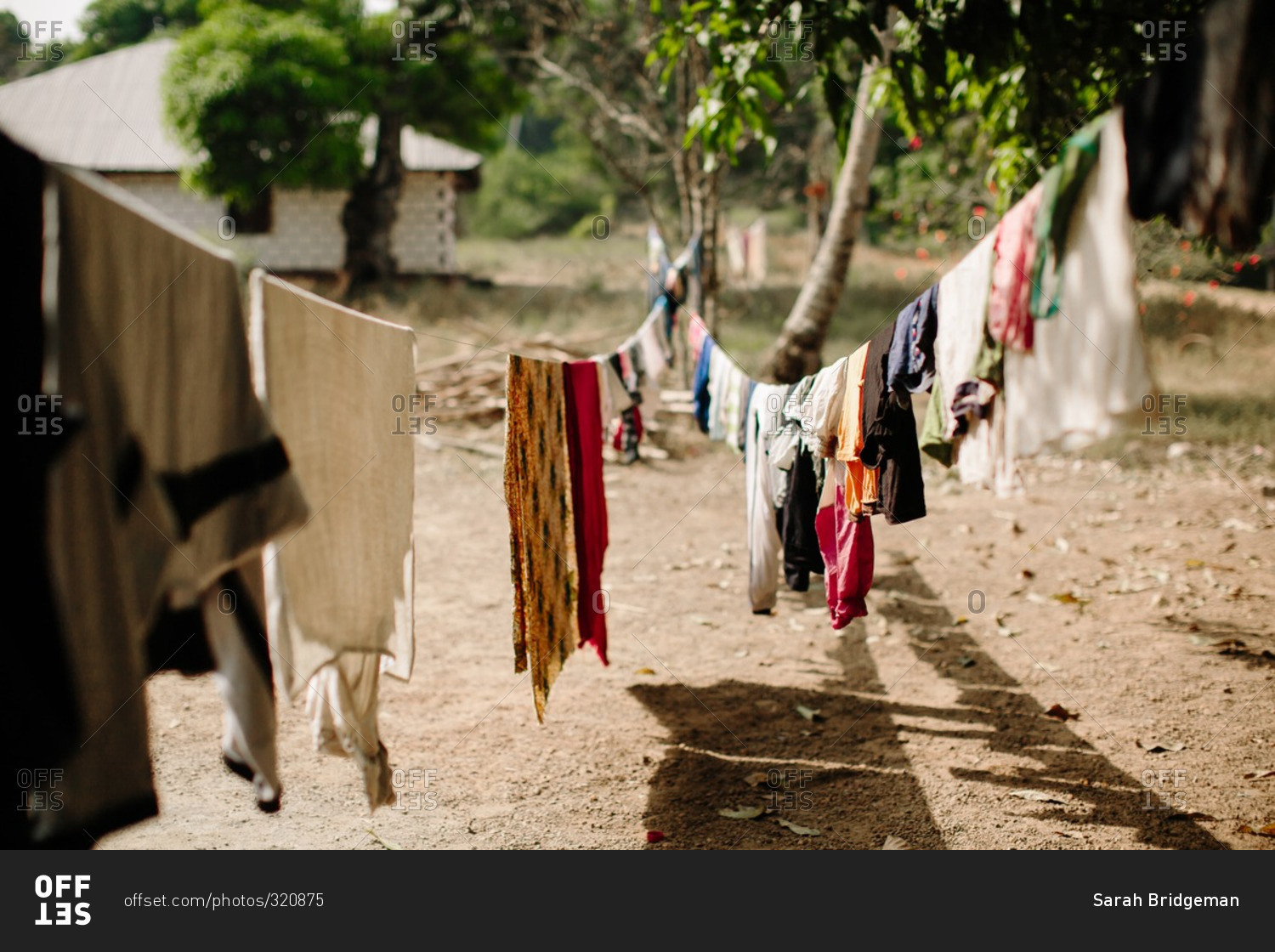 Laundry hanging on two clotheslines between trees in Sierra Leone stock