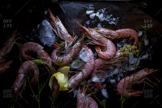 Fresh prawns on ice with lemon rind and herbs