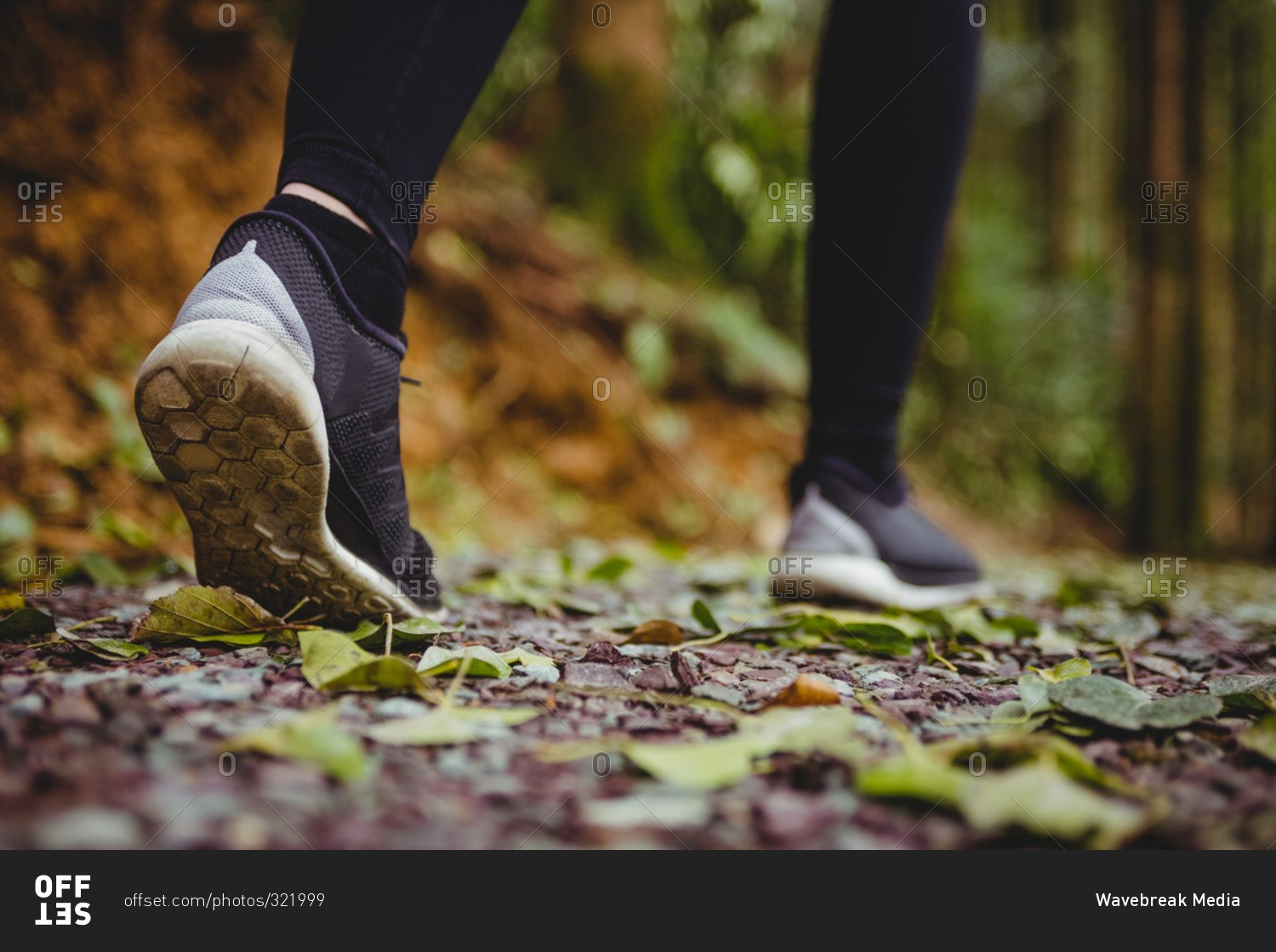 Close up view of woman sport shoes running in the woods