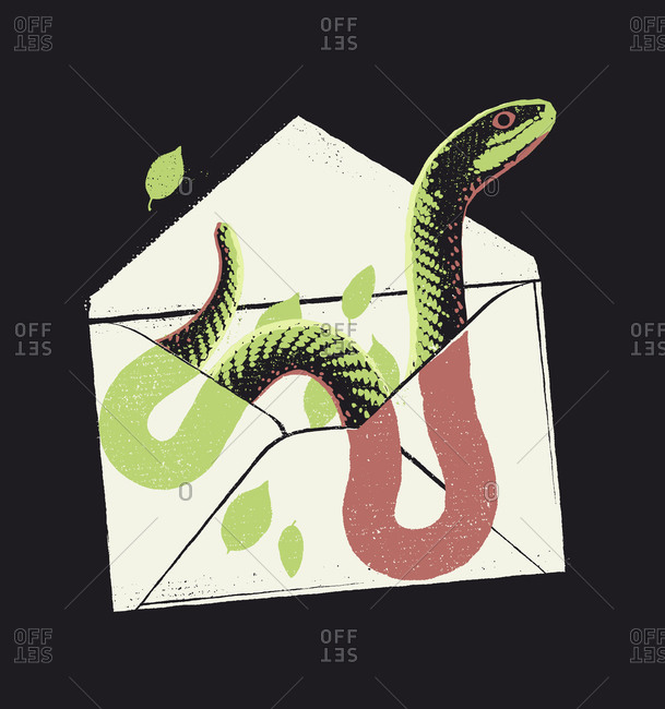 An open envelope with a snake and some leaves inside
