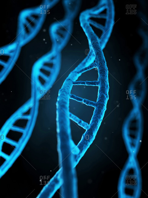 Microscopic view of human DNA strand (deoxyribonucleic acid)