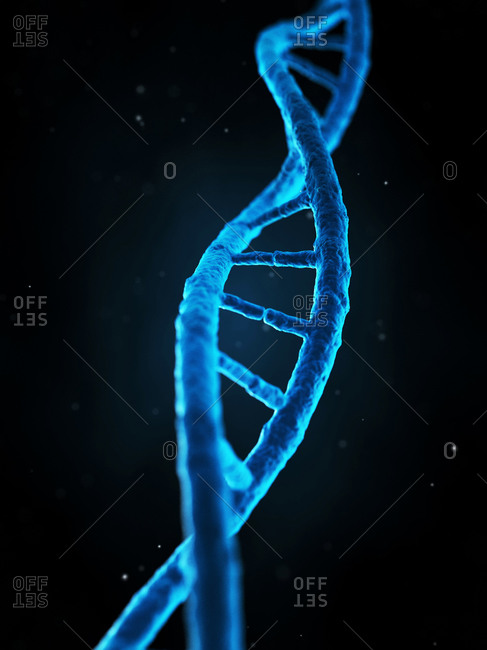 Human DNA strand, Microscopic view