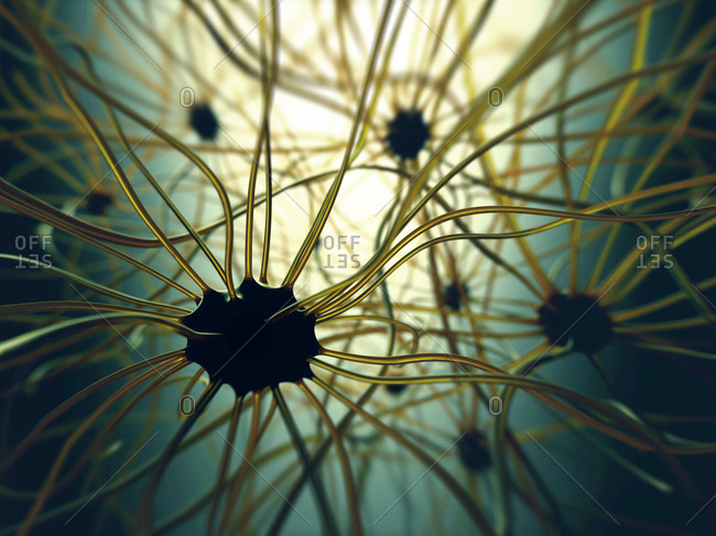 Illustration of human nerve cells