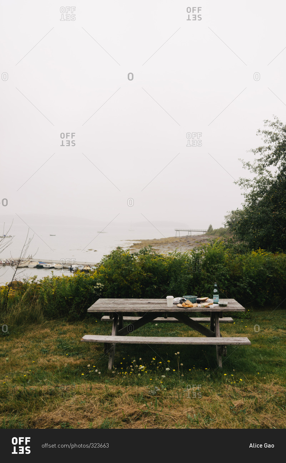 Picnic table near the edge of the shoreline