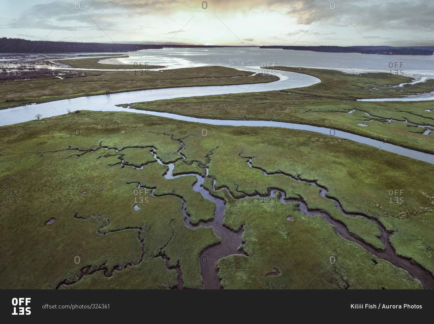 View of the river delta at Nisqually Wildlife Refuge at low tide stock
